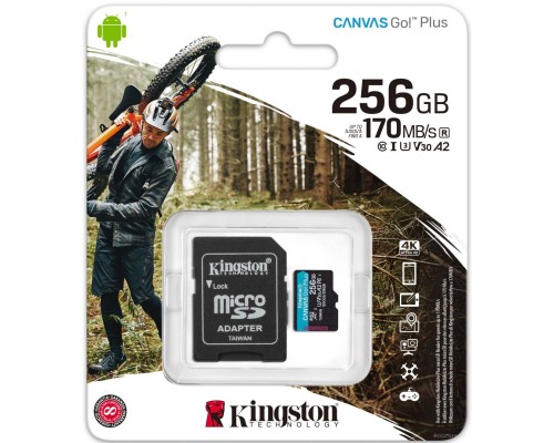 Карта памяти Kingston SDCG3/256GB