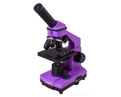 Детский микроскоп Levenhuk Rainbow 2L Plus (аметист) 69042