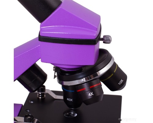 Детский микроскоп Levenhuk Rainbow 2L Plus (аметист) 69042
