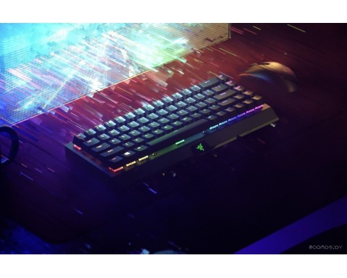 Клавиатура RAZER Blackwidow V3 Mini HyperSpeed Green Switch