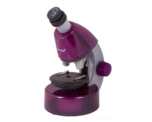 Детский микроскоп Levenhuk LabZZ M101 (аметист) 69033