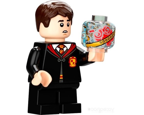 Конструктор Lego Harry Potter 76395 Хогвартс: первый урок полетов