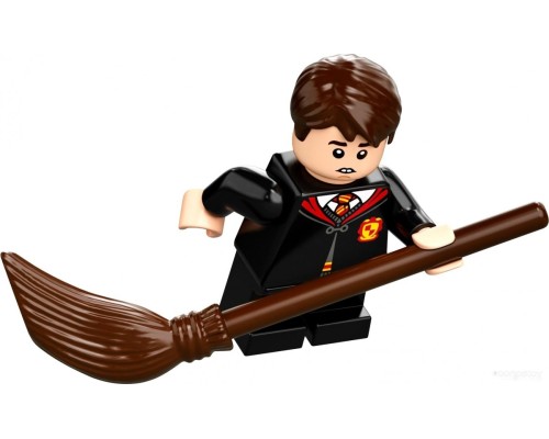 Конструктор Lego Harry Potter 76395 Хогвартс: первый урок полетов