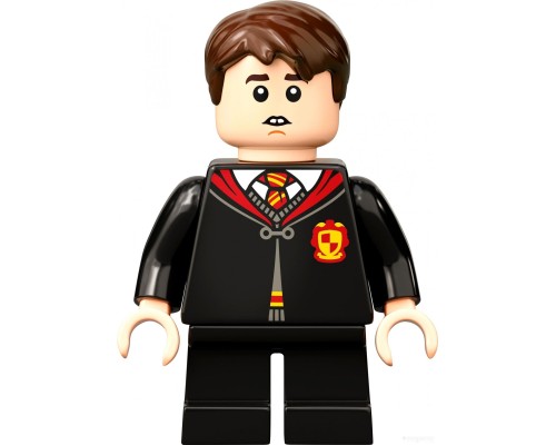 Конструктор Lego Harry Potter 76395 Хогвартс: первый урок полетов