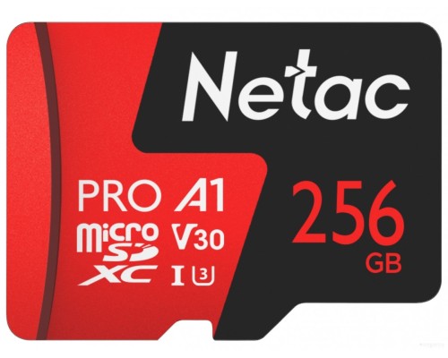 Карта памяти Netac 256GB 500 Extreme Pro NT02P500PRO-256G-R (с адаптером)