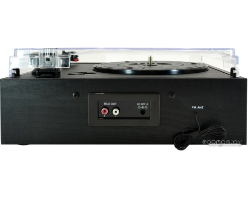 Виниловый проигрыватель Ritmix LP-200B