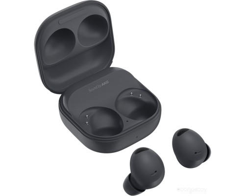 Наушники Samsung Galaxy Buds 2 Pro (графитовый)