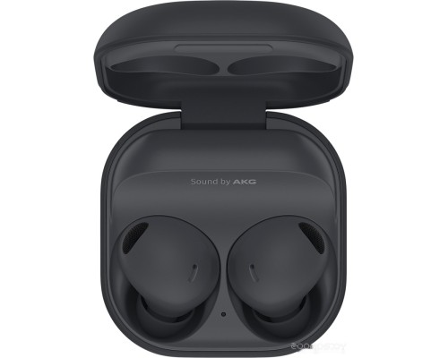 Наушники Samsung Galaxy Buds 2 Pro (графитовый)