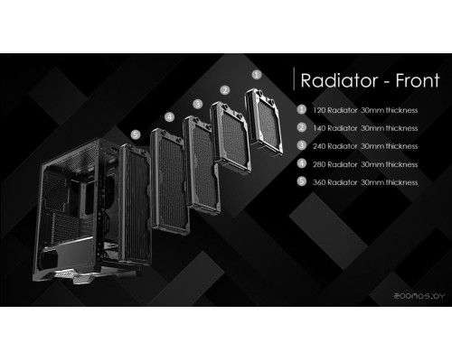 Корпус Raijintek Silenos MS Pro (черный)