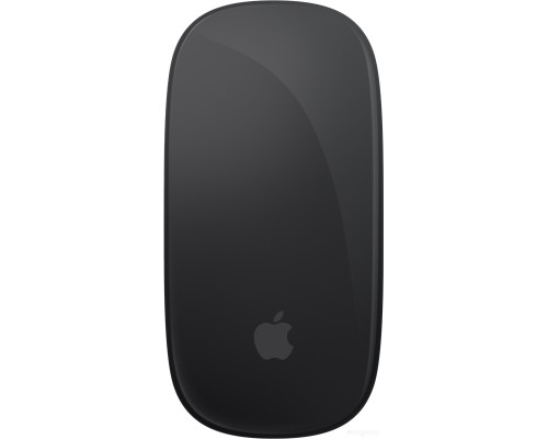 Мышь Apple Magic Mouse (черный)