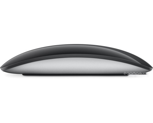 Мышь Apple Magic Mouse (черный)