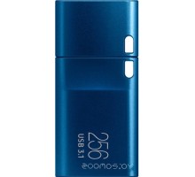 USB Flash Samsung USB-C 3.1 2022 256GB (синий)