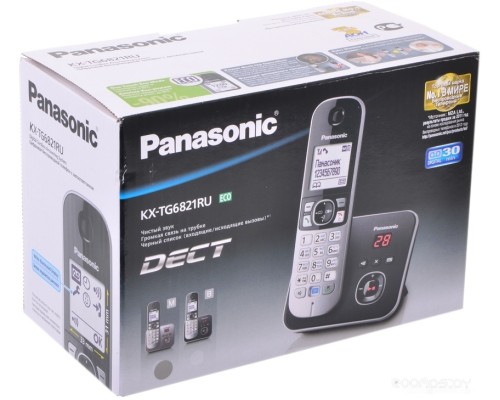 Радиотелефон Panasonic KX-TG6821RUM