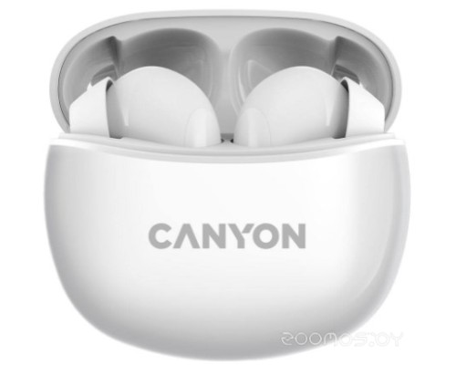 Наушники Canyon CNS-TWS5W