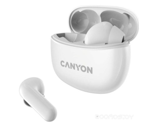 Наушники Canyon CNS-TWS5W