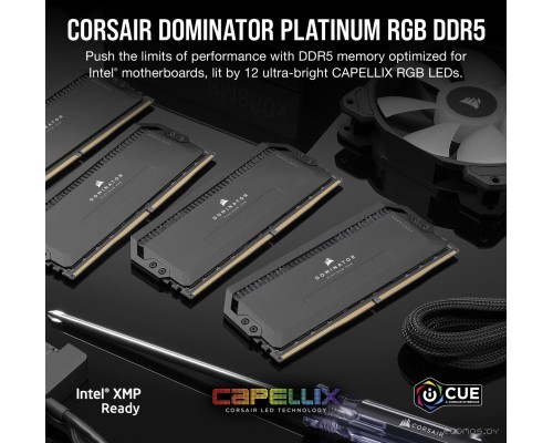 Модуль памяти Corsair Dominator Platinum RGB 2x16ГБ DDR5 5600 МГц CMT32GX5M2B5600Z36