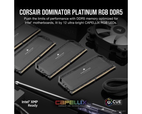 Модуль памяти Corsair Dominator Platinum RGB 2x16ГБ DDR5 5600 МГц CMT32GX5M2B5600Z36