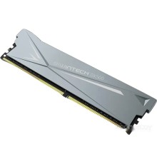 Модуль памяти Biwin DX500 8ГБ DDR4 3600 МГц B14BU8G53618CR-GAL#A