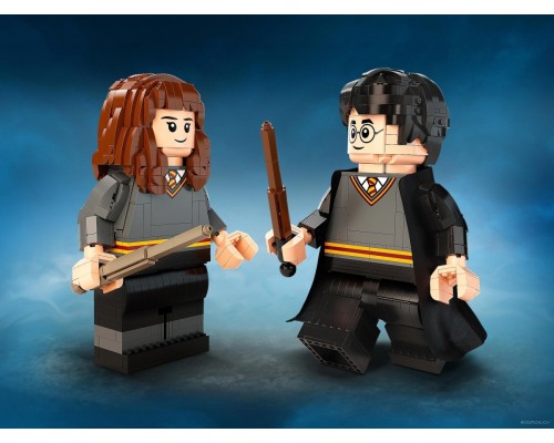 Конструктор Lego Harry Potter 76393 Гарри Поттер и Гермиона Грейнджер