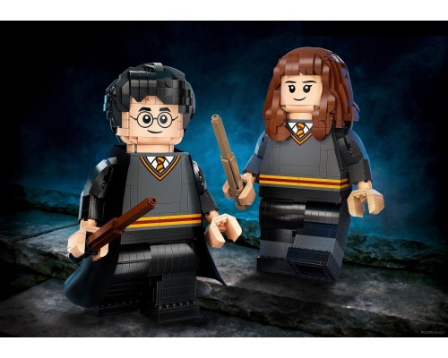 Конструктор Lego Harry Potter 76393 Гарри Поттер и Гермиона Грейнджер