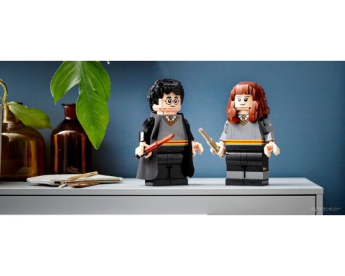 Конструктор Lego Harry Potter 76393 Гарри Поттер и Гермиона Грейнджер