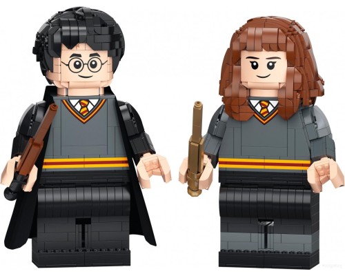 Конструктор Lego Harry Potter 76393 Гарри Поттер и Гермиона Грейнджер