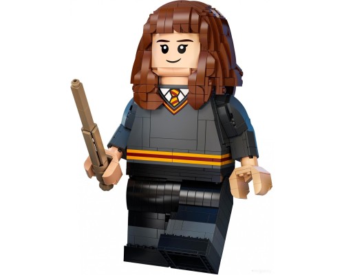 Конструктор Lego Harry Potter 76393 Гарри Поттер и Гермиона Грейнджер