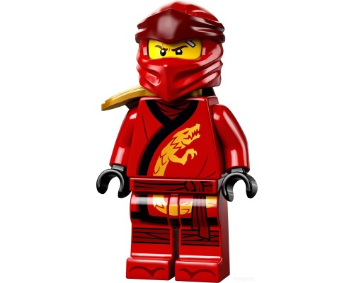 Конструктор Lego Ninjago 71741 Сады Ниндзяго-Сити