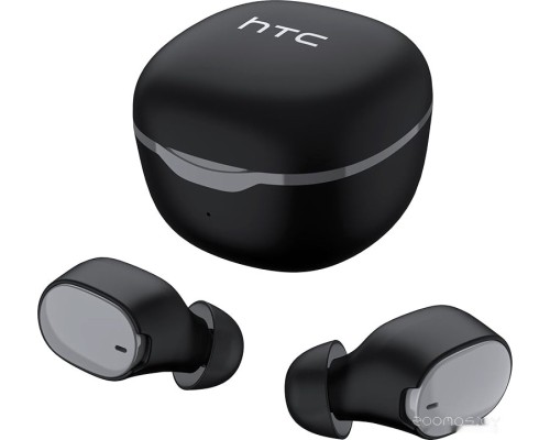 Наушники HTC True Wireless Earbuds (черный)