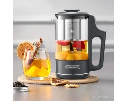 Электрический чайник Morphy Richards TeaMaker MR6086G