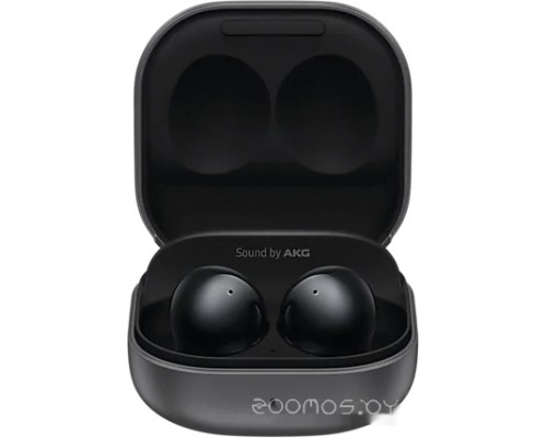 Наушники Samsung Galaxy Buds 2 (черный оникс)