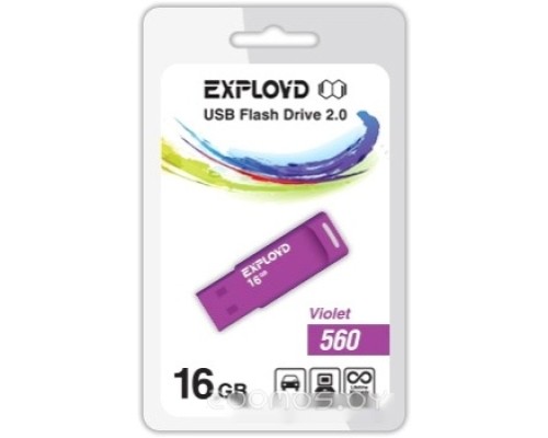 USB Flash Exployd 560 16GB (фиолетовый) [EX-16GB-560-Violet]