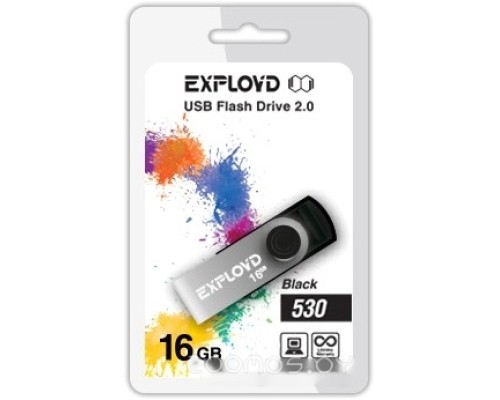 USB Flash Exployd 530 16GB (черный) [EX016GB530-B]