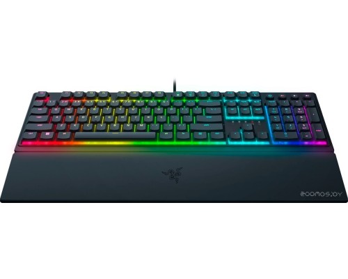 Клавиатура RAZER Ornata V3