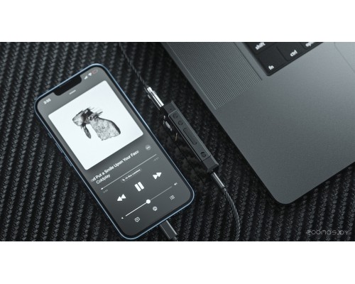 Портативный усилитель для наушников Fiio BTR7 Lightning