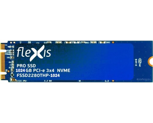 SSD Flexis Pro 1TB FSSD2280THP-1024