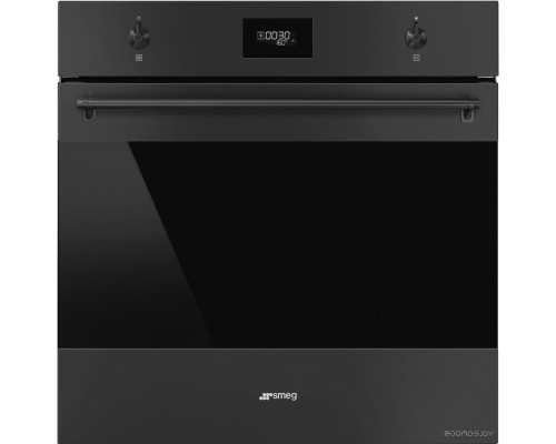 Духовой шкаф Smeg Classica SF6301TN