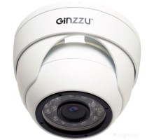 IP-камера Ginzzu HID-5301A
