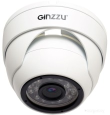 IP-камера Ginzzu HID-5301A