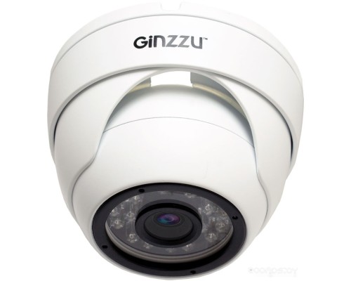 IP-камера Ginzzu HID-5301A