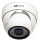 IP-камера Ginzzu HID-5301A