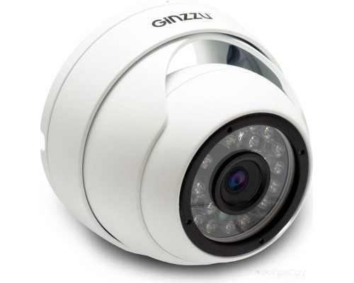 IP-камера Ginzzu HID-5301A