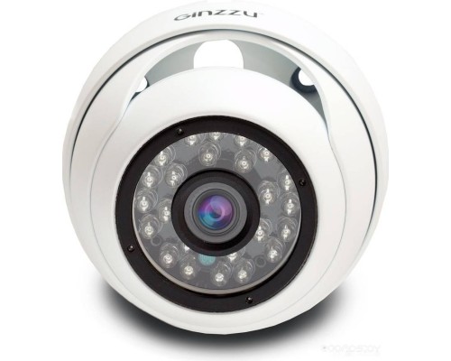 IP-камера Ginzzu HID-5301A