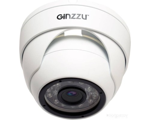 IP-камера Ginzzu HID-5301A