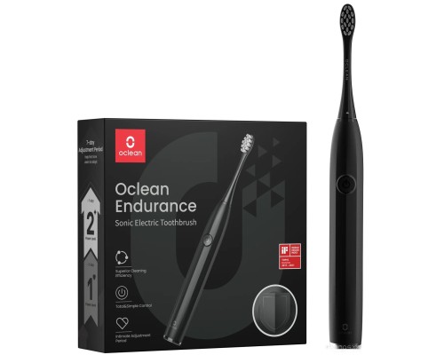 Электрическая зубная щетка Oclean Endurance Electric Toothbrush (черный)