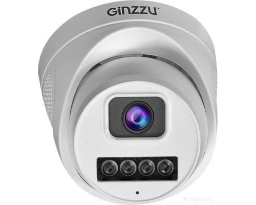 IP-камера Ginzzu HID-4303A