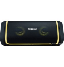 Портативная акустика Toshiba TY-WSP150