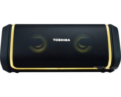 Портативная акустика Toshiba TY-WSP150