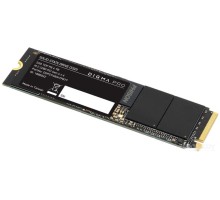 SSD DIGMA Pro Top P8 4TB DGPST4004TP8T7