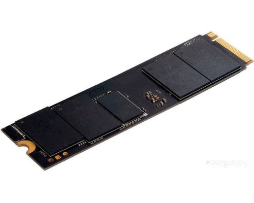 SSD DIGMA Pro Top P8 1TB DGPST4001TP8T7